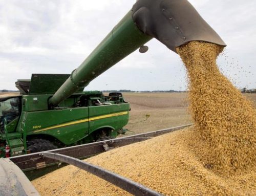 Los productores tienen soja sin vender por U$S 8.400 millones
